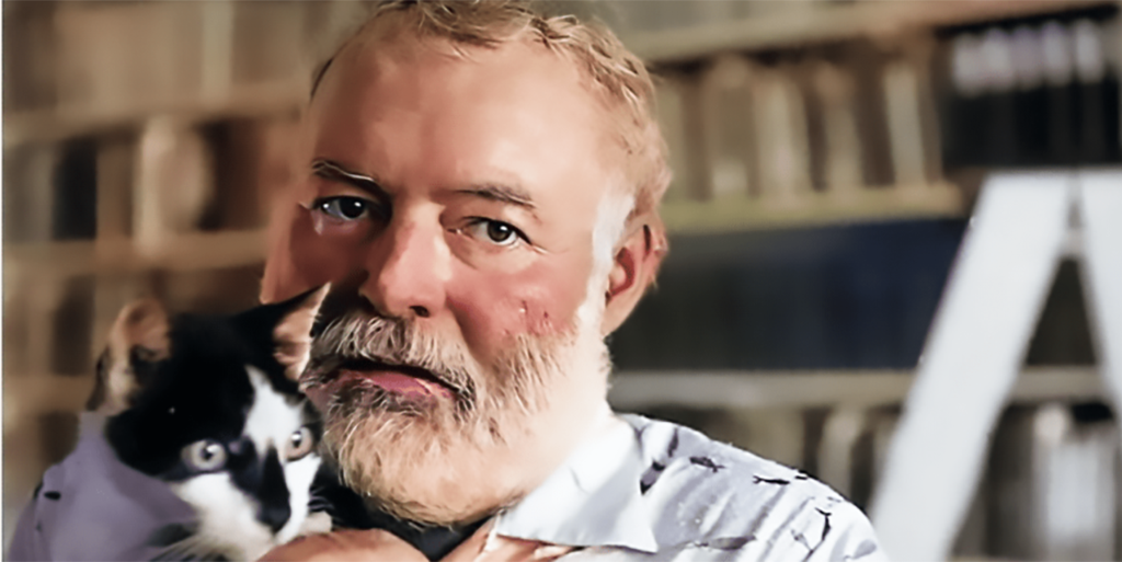 The six-toed cats of Hemingway